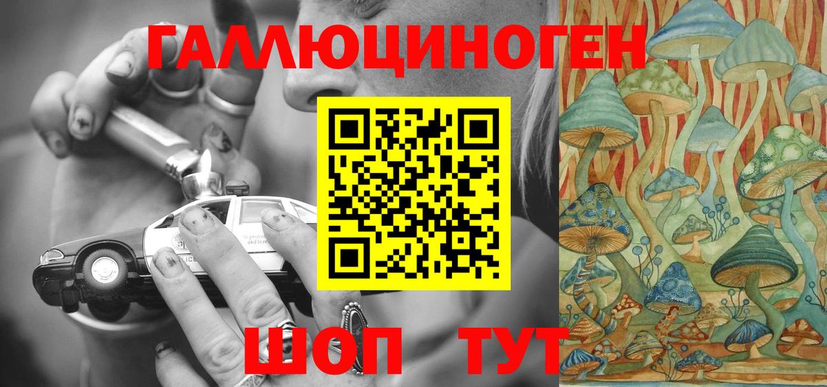 Галлюциногенные грибы Psilocybe Санкт-Петербург
